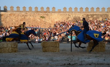 medieval (100)