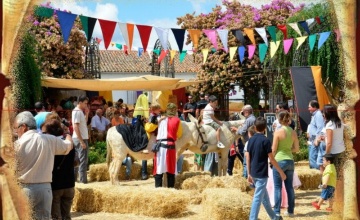 medieval (12)