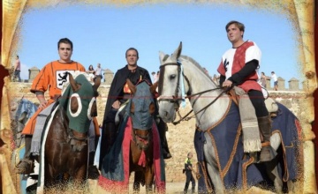 medieval (20)