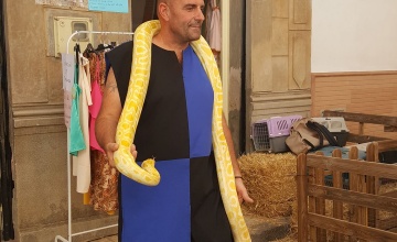 medieval (48)