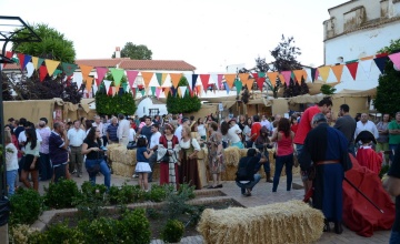 medieval (71)