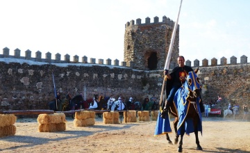 medieval (96)