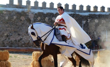 medieval (97)