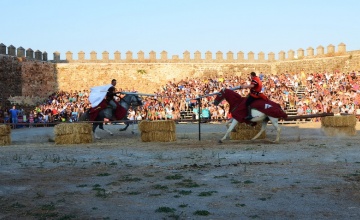 medieval (98)